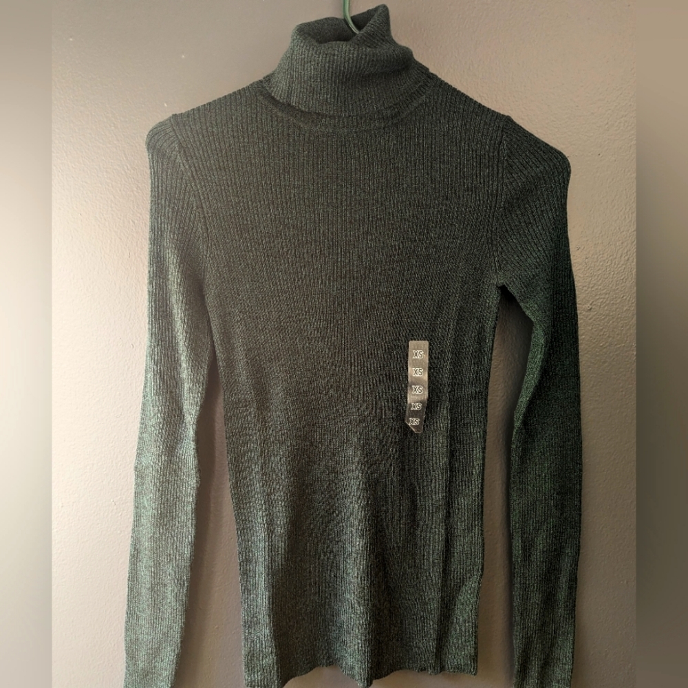 UNIQLO Extra Fine Merino Wool Turtleneck Sweater
